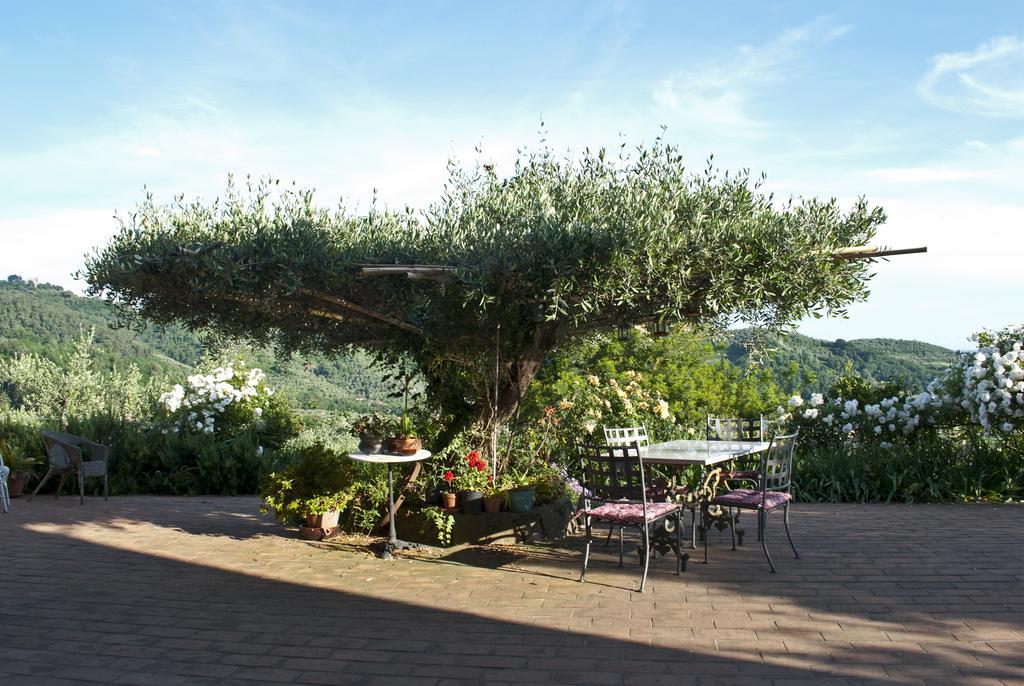 Azienda Agricola Della Mezzaluna Stiava Exterior foto